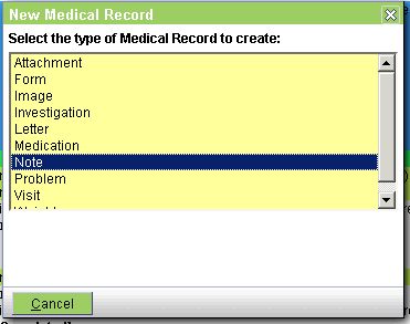 medical records summary writer